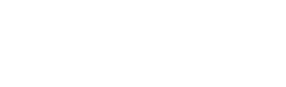 Printlit white logotype